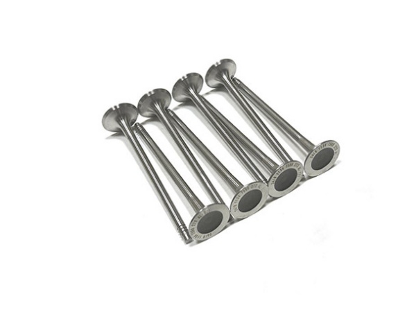 OE:1134 7598 273 exhaust valve