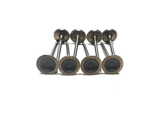 OE:1134 7585 901 intake valve