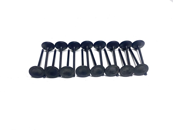 OE:LR010699 intake valve