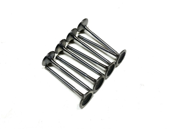 OE:1134 7570 163 intake valve