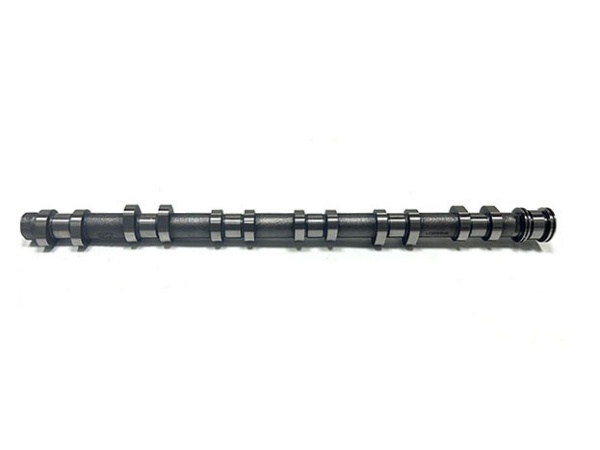 OE:1131 7563 665 Camshaft exhaust